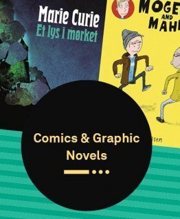 Stunning Graphic Novels - for young and old